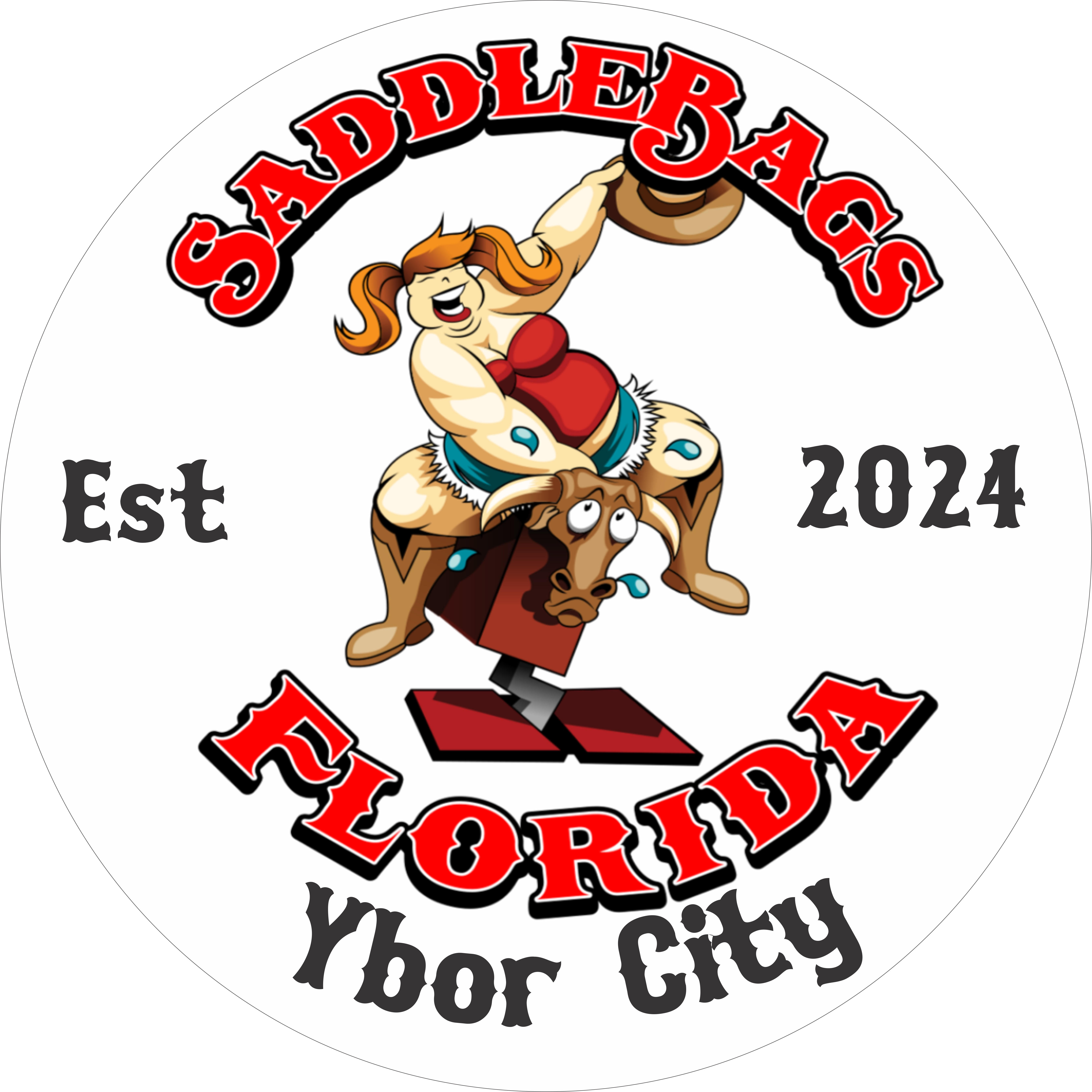 Saddlebags